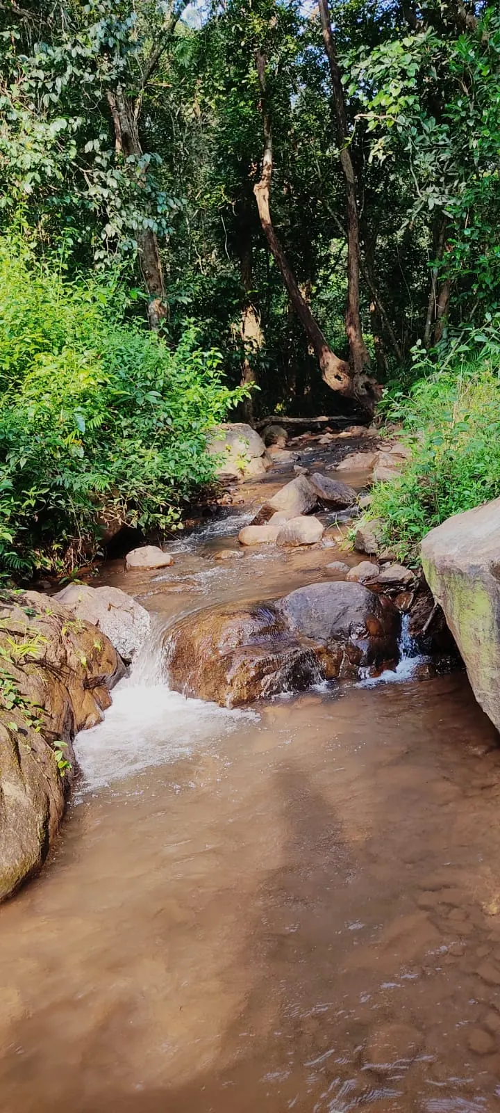 Aranya Eco Resort photo 9