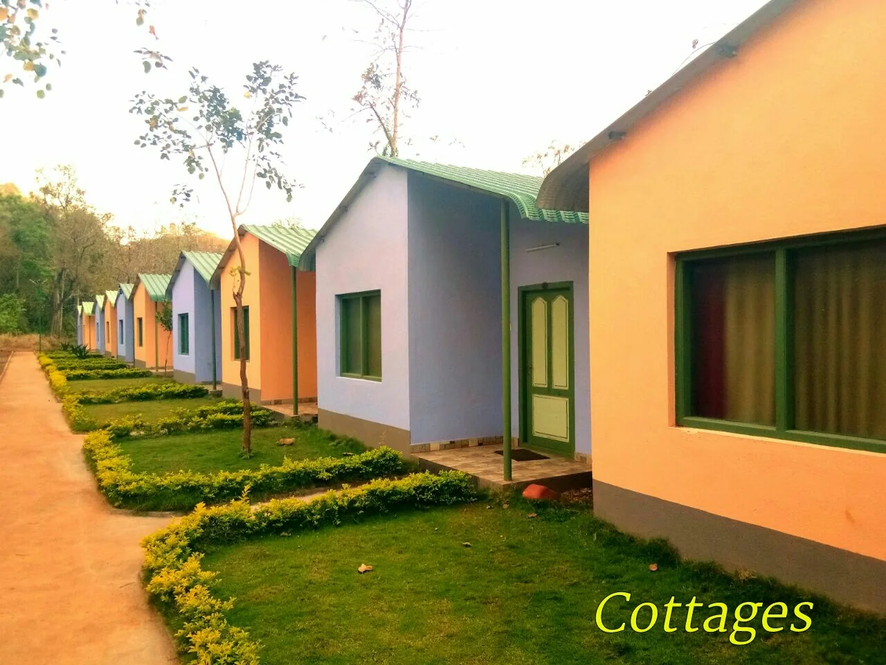 Bird's Nest Resort photo 4