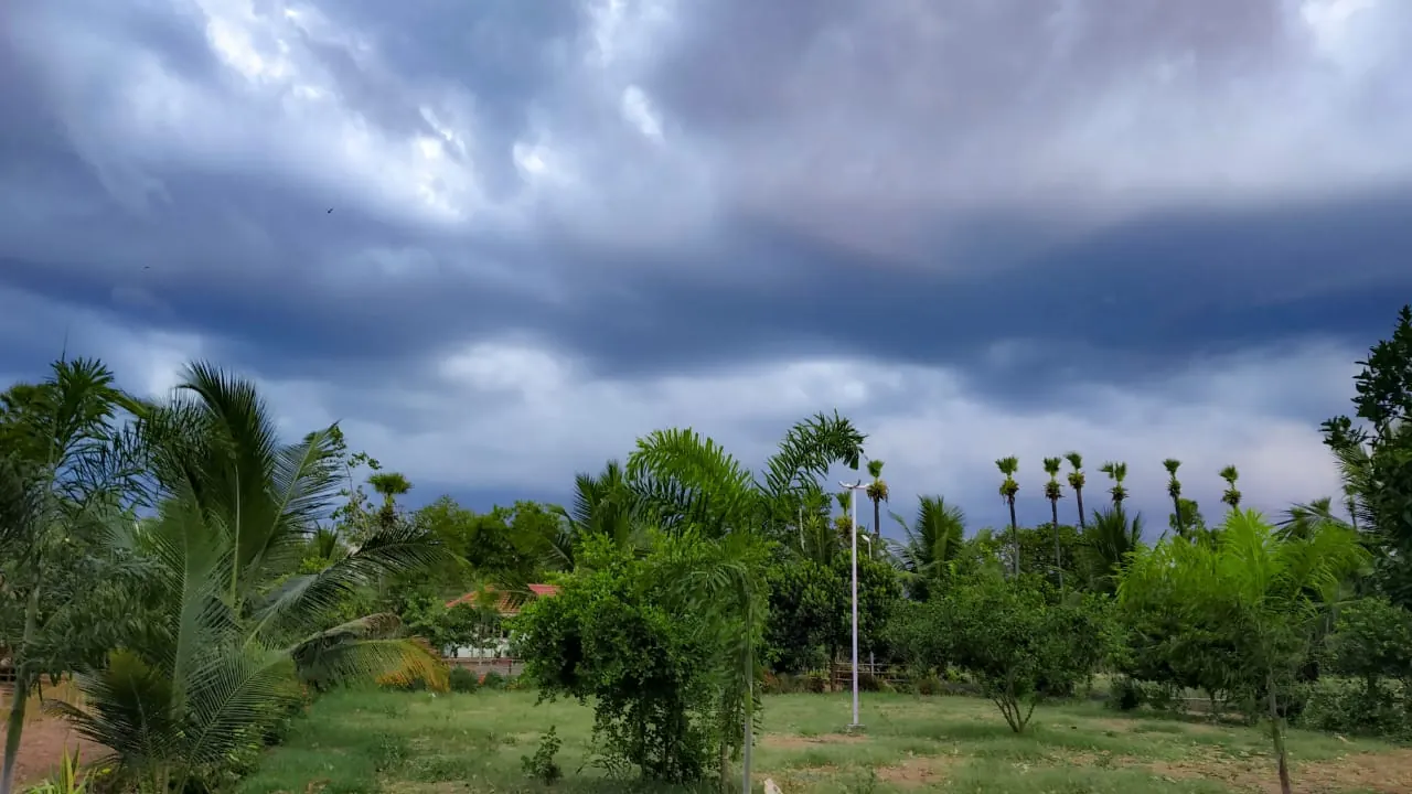 Gayathri Resorts, Polavaram photo 8