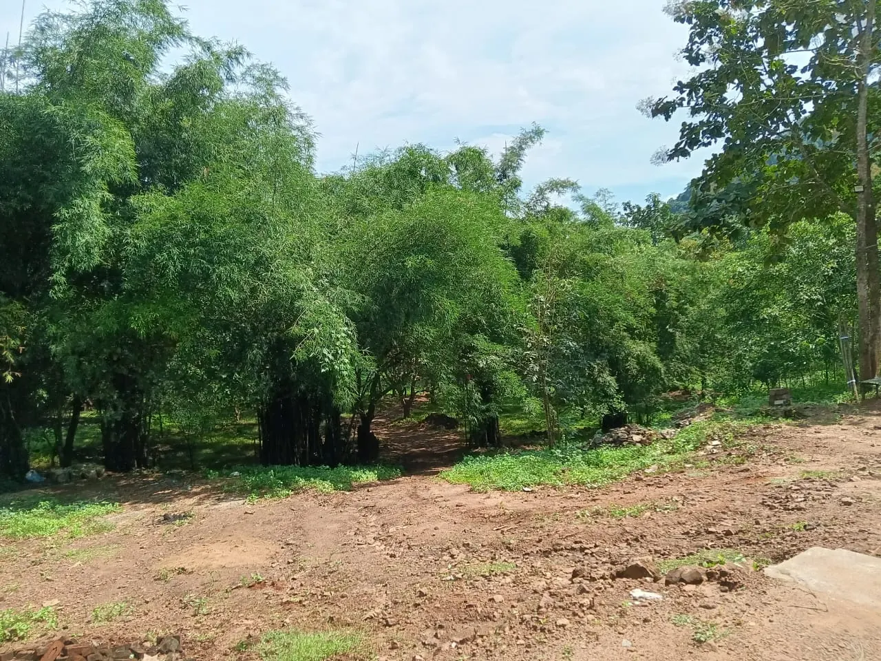 Prabhakar Camping Resorts photo 5