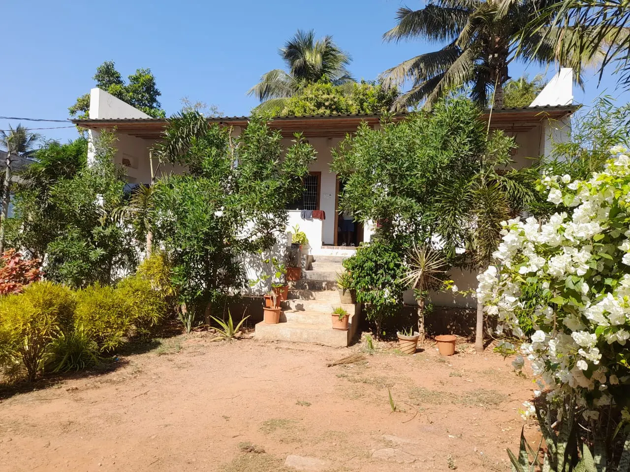 River House Resort photo 32