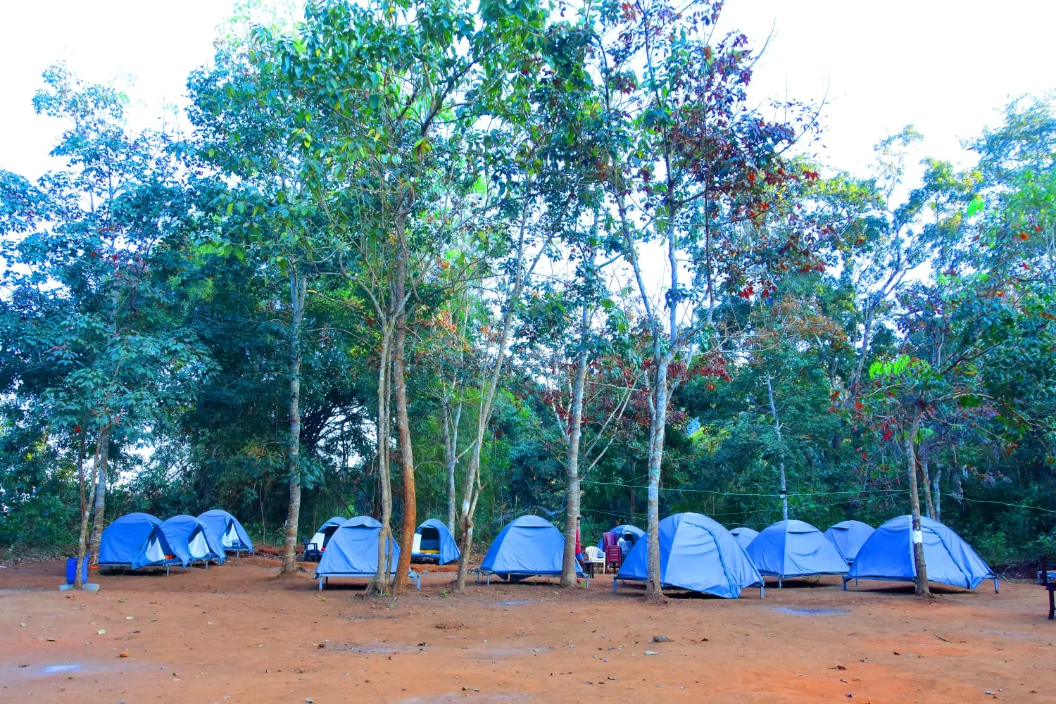 RS Camping Resort photo 1