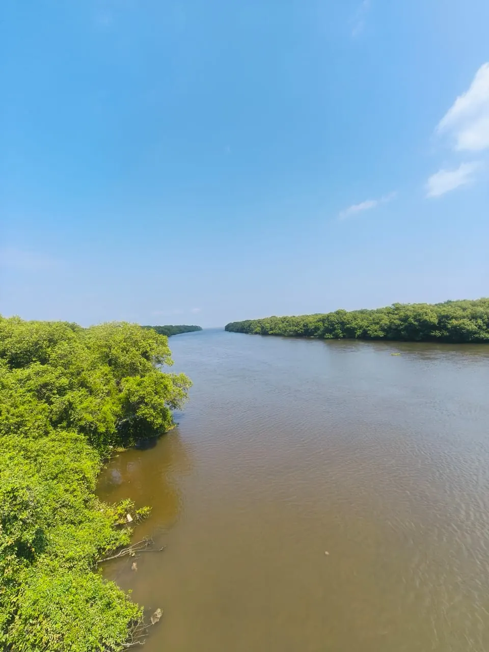 Coringa Mada Forest Boating to Open Island photo 2