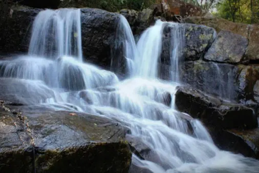 Maredumilli 1-Day Tour from Rajahmundry photo 9