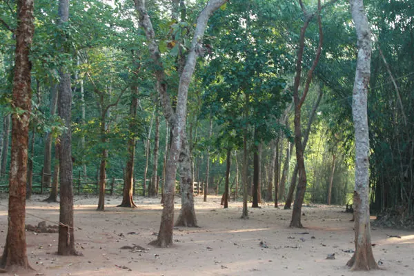 Rajahmundry to Maredumilli and Papikondalu 2-Day Tour with Bhadrachalam Drop photo 4