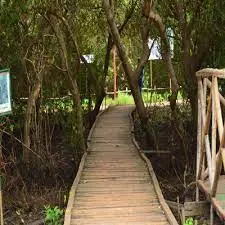 Coringa Resorts, Yanam photo 7