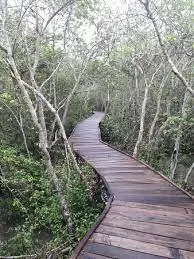 Coringa Resorts, Yanam photo 4