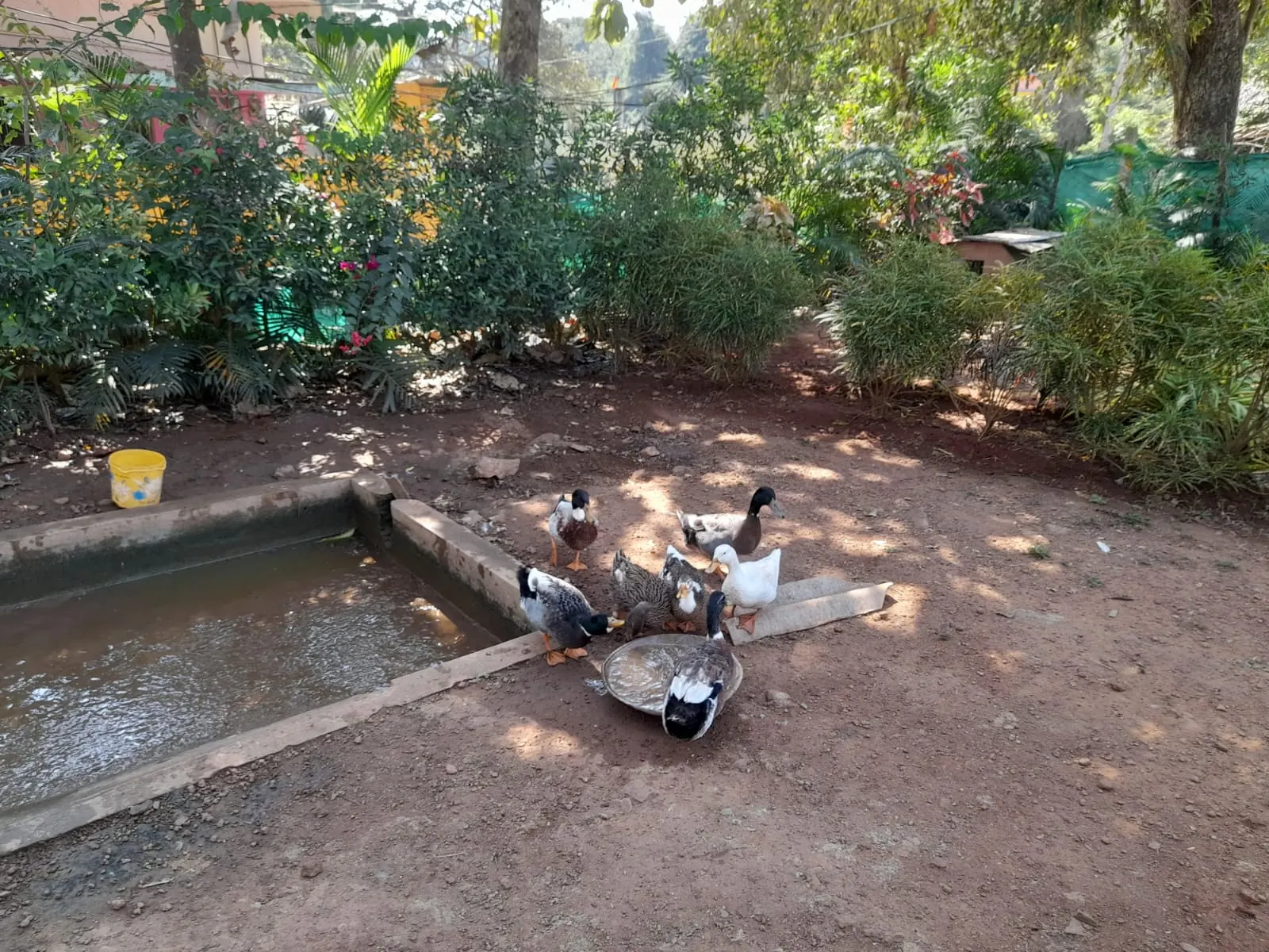 River House Resort photo 34