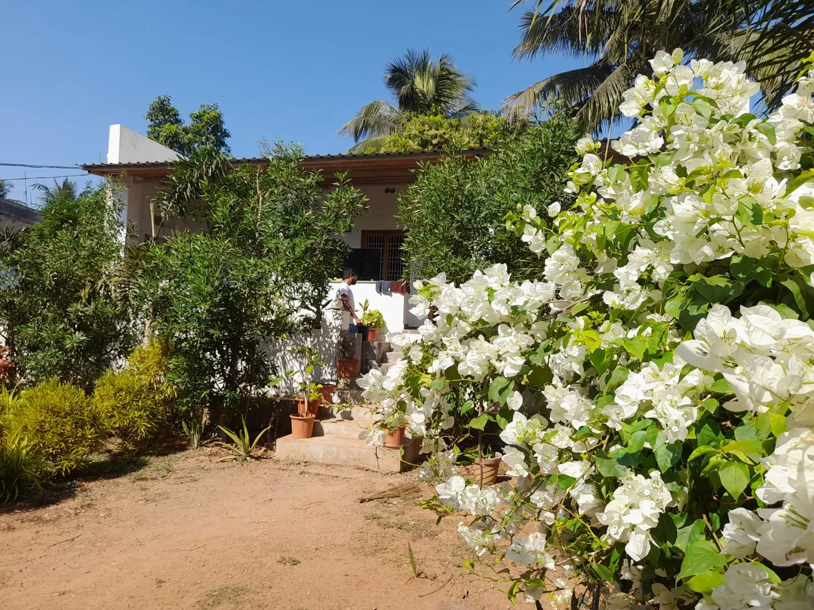 River House Resort photo 33
