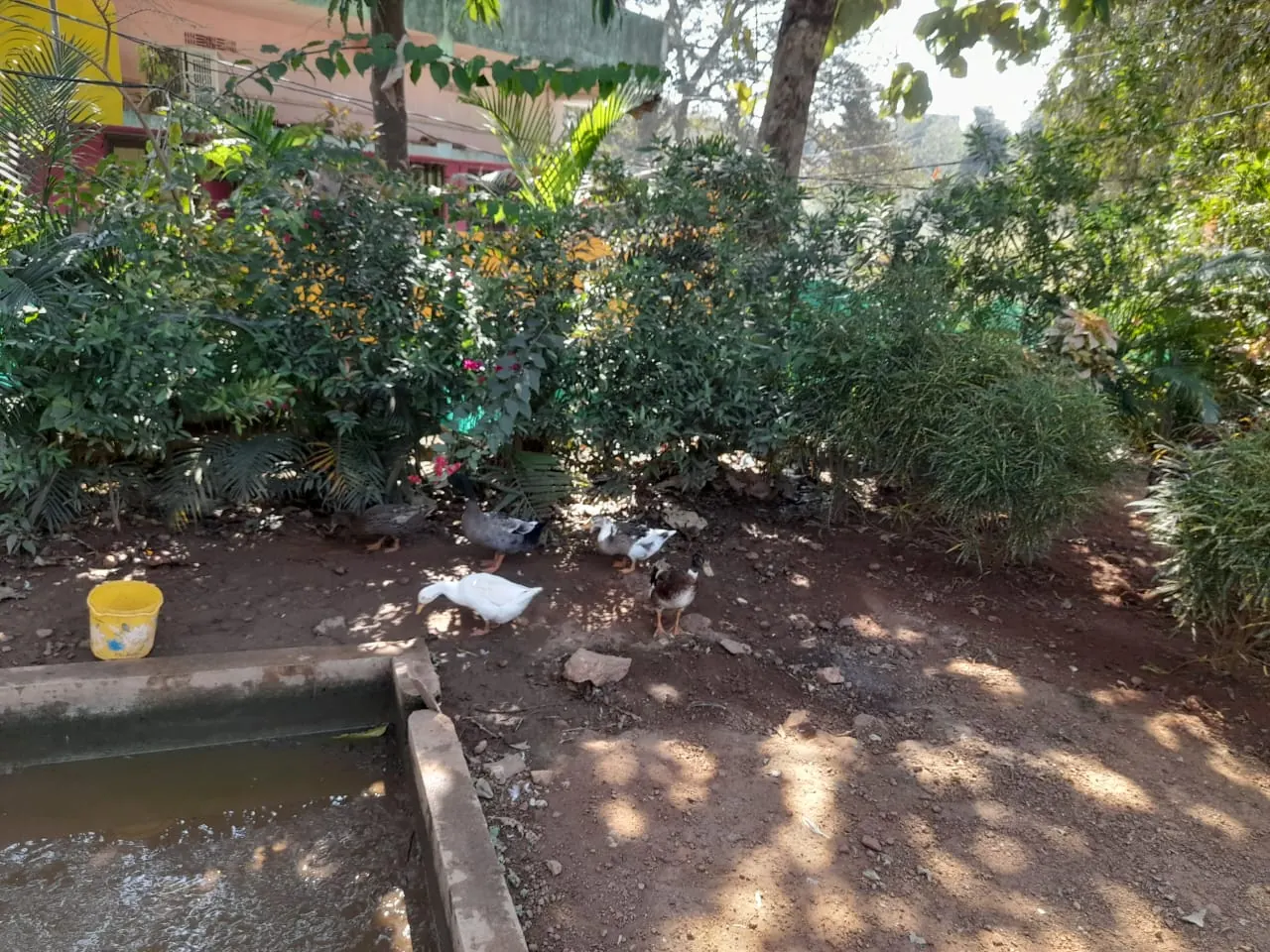 River House Resort photo 30