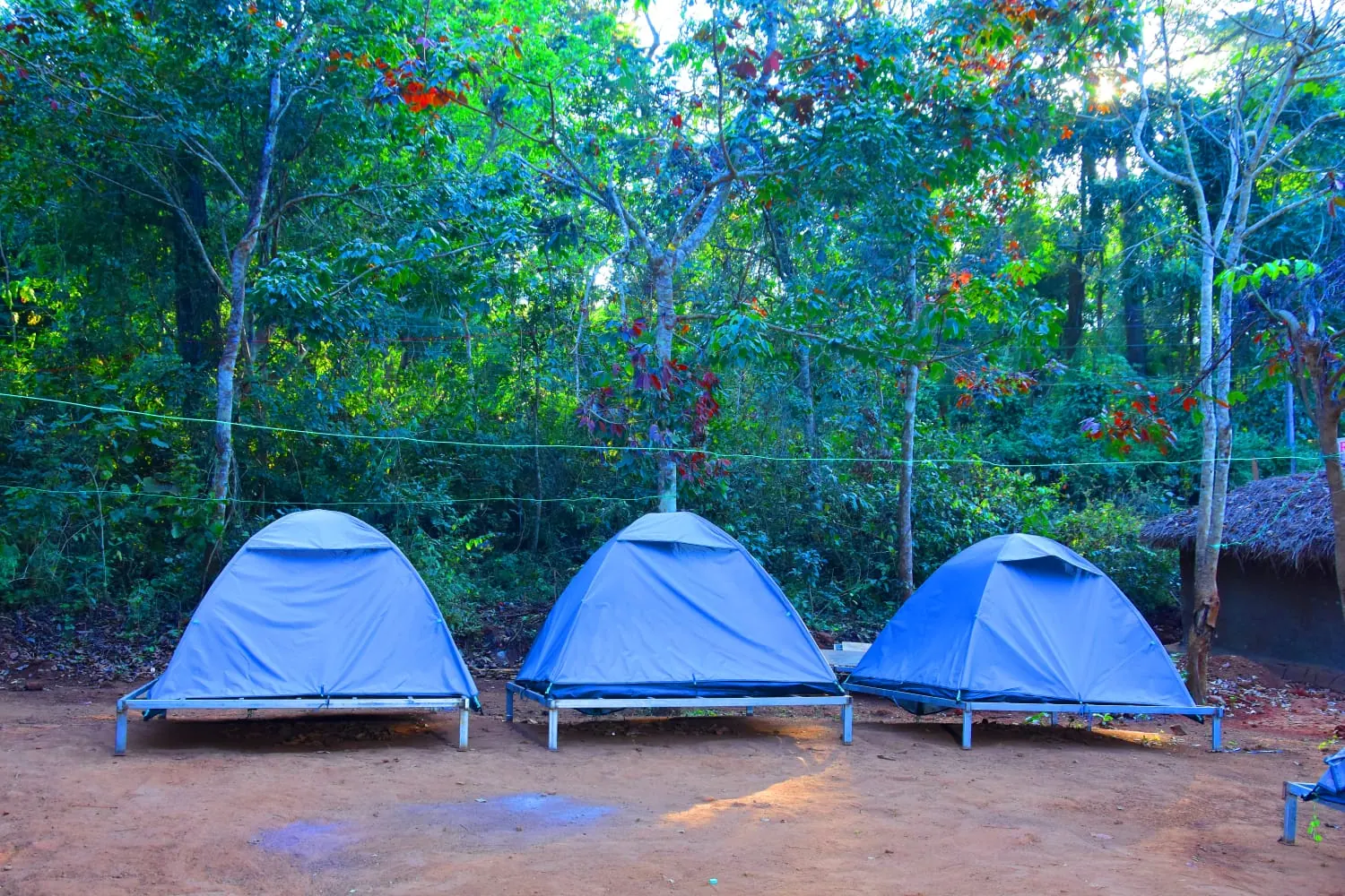 RS Camping Resort photo 9