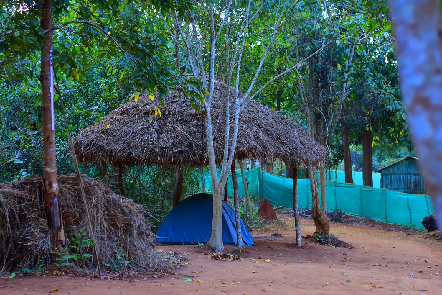 RS Camping Resort photo 10
