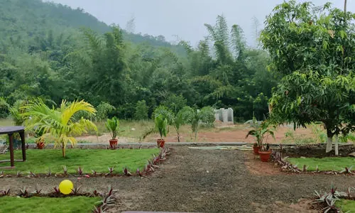 Sana Resorts photo 8