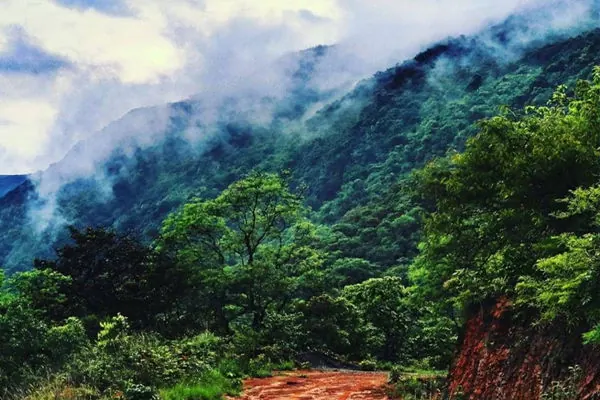 Gudisa Hill Station Camping Trip photo 8
