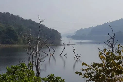 Maredumilli 1-Day Tour from Rajahmundry photo 15
