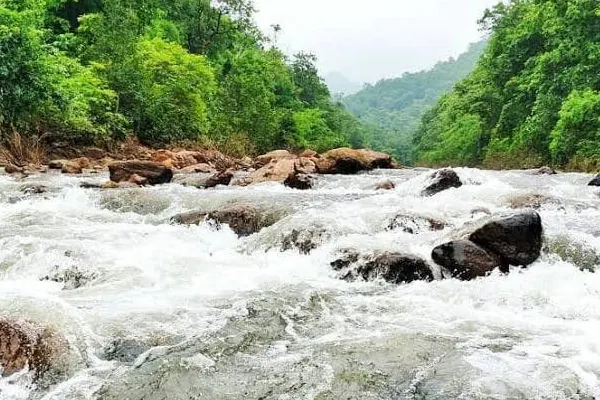 Maredumilli 1-Day Tour from Rajahmundry photo 5