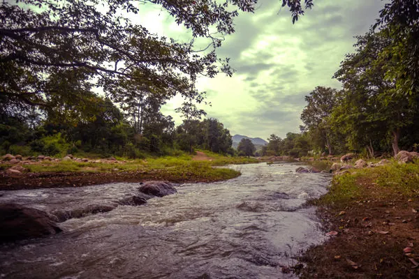 Maredumilli 2-Day Tour from Rajahmundry photo 12