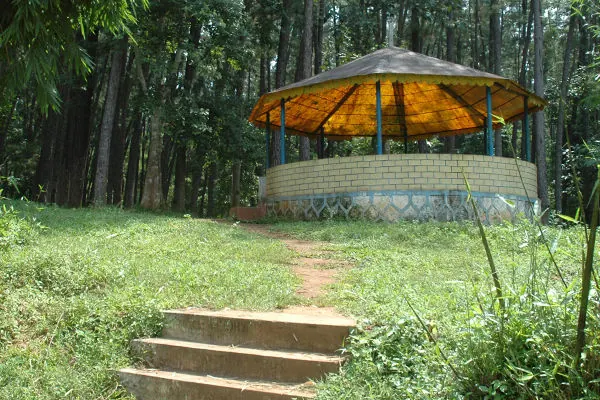 Maredumilli 2-Day Tour from Rajahmundry photo 10