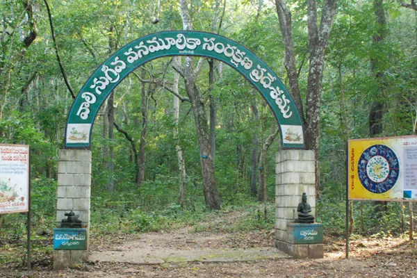 Maredumilli 2-Day Tour from Rajahmundry photo 14