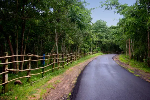 Maredumilli 2-Day Tour from Rajahmundry photo 4